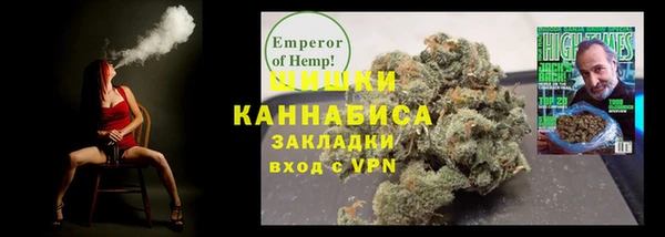 прущие грибы Верея