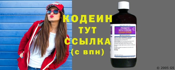 прущие грибы Верея