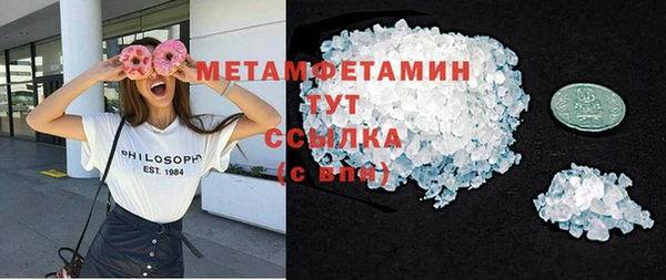 прущие грибы Верея