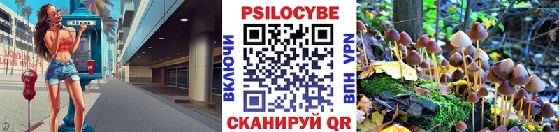 Псилоцибиновые грибы мицелий Купить закладки Болхов